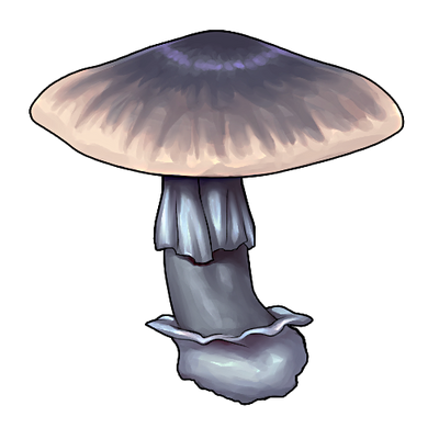 Death Cap by KitsunariADMIN on DeviantArt