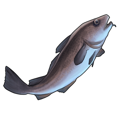 Patin Cod Pacific Cod by KitsunariADMIN on DeviantArt