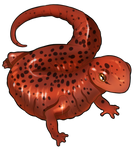 Spotted Salamander by KitsunariADMIN