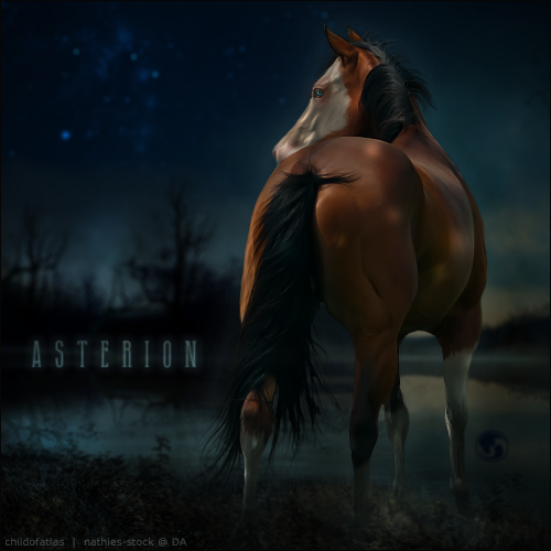 HEE Horse Avatar - Asterion