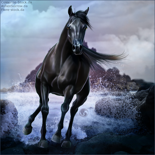 HEE Horse Avatar - Babylon