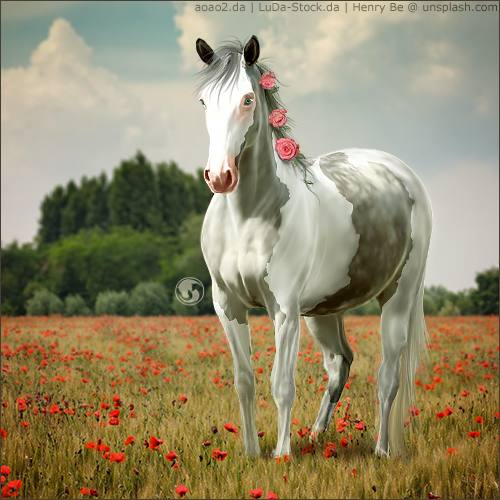 HEE Horse Avatar - Heartbreaker