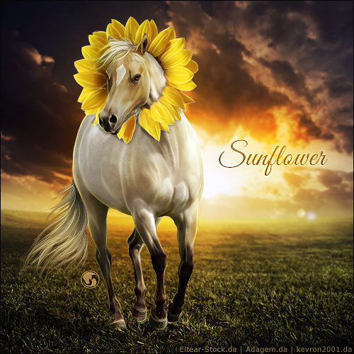 HEE Horse Avatar - Sunflower