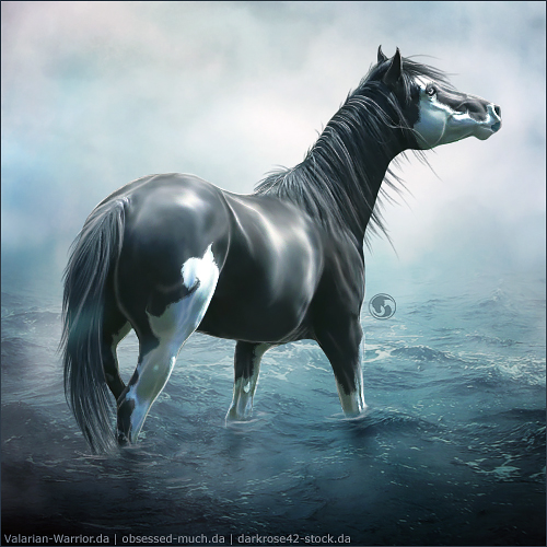 HEE Horse Avatar - SF Lifeboat