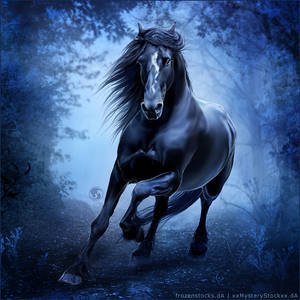 HEE Horse Avatar - Shadow Lark by VIXEN-STUDIO