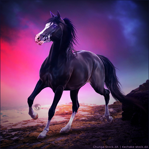 HEE Horse Avatar - Rising Above