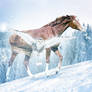 HEE Horse Avatar: Kyrianna Snowbird