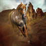 HEE Horse Avatar: Demonbane