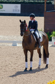 20170916 Fall Dressage CDI: 198