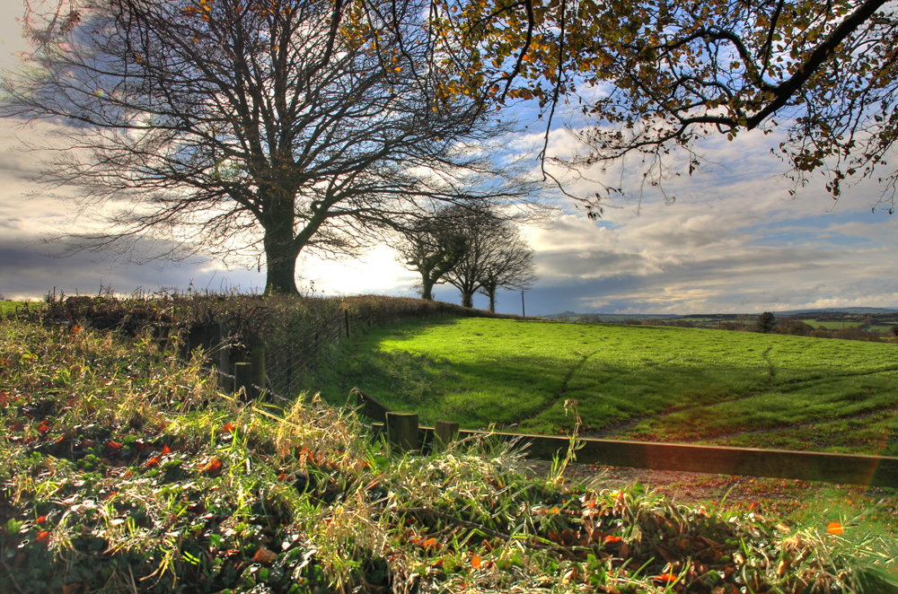 Winter LUSH