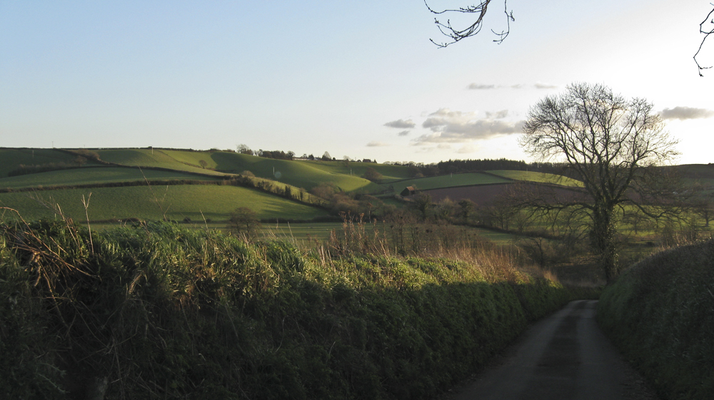 Evening Devon Lane