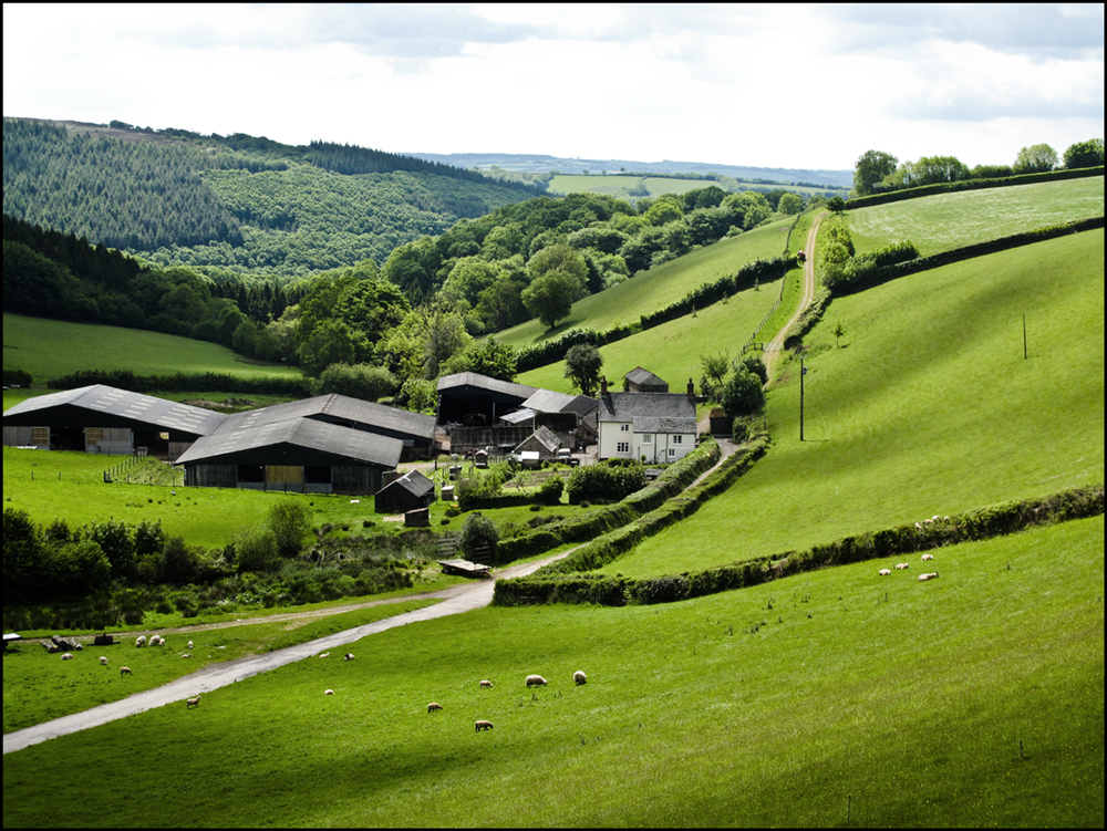 Valley Farm Exmoor