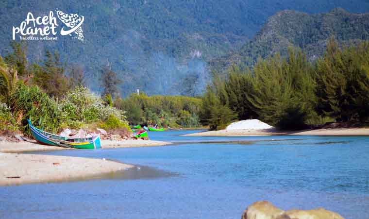 Fa Pulau Kapuk Acehplanet