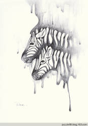 zebra