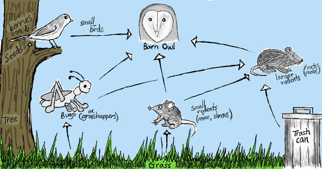 Owl Food Chain Digital By Art3mis X On Deviantart