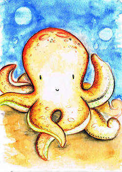 Octopus