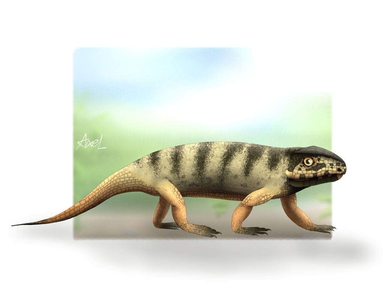 Neocense Tichvinskia vjatkensis by AleksanderKlimenko on DeviantArt