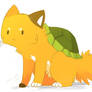 Turtle Cat