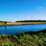 River at Town Beach