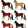 Morgan Adopts - OPEN - 2/6 - REDUCED