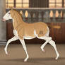 Barroco Foal Design | shot-fired