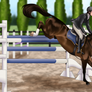 I Watched an Empire Fall - SVI Show Jumping