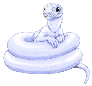 Leucistic boa