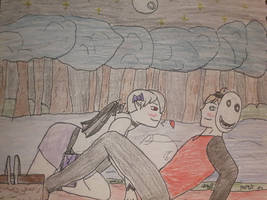 Picnic moonlight date