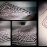 Scarification : one month old