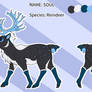 New Reference Sheet for Soul my Reindeer