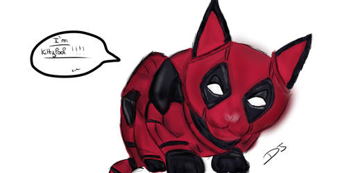 KittyPool : The Cat Like DeadPool