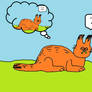 Sleep