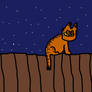 cozy night on the fence