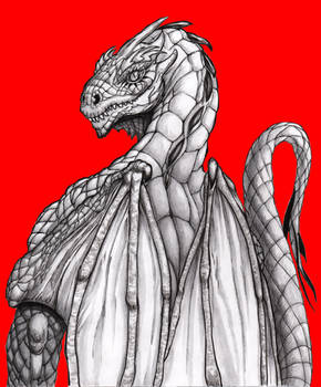 Dragon redback