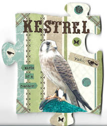 Kestrel Puzzle Piece