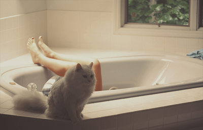 Котик в ванне. Котик в ванной. Кошка в ванной. Котенок в ванне. Смешные коты в ванной.