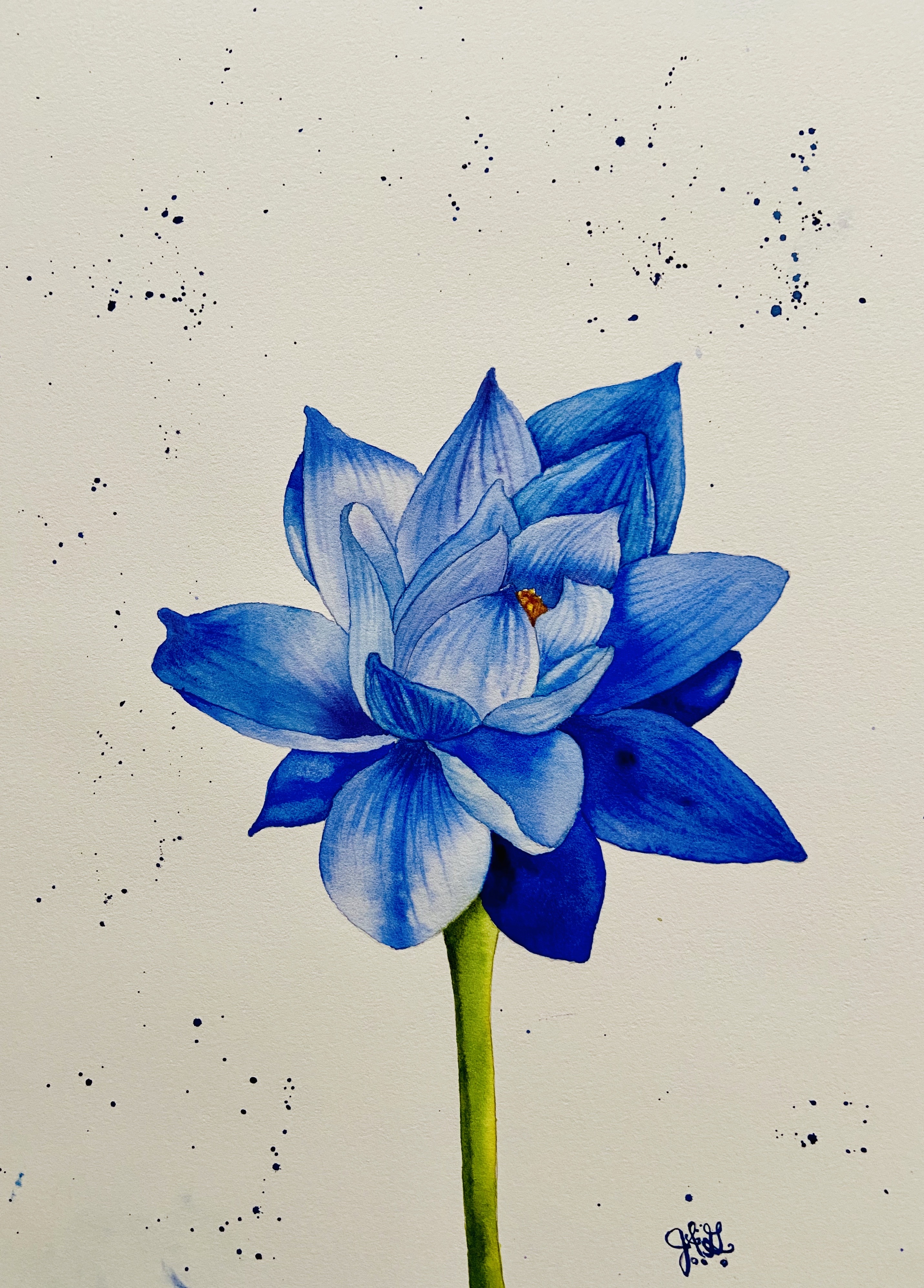 The Chinese Blue Lotus Full Painting By Velvet In August On Deviantart The Chinese Blue Lotus Full Painting By Velvet In August On Deviantart