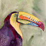 The Keel-billed Toucan