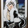 Black Cat 