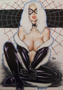 BLACK CAT For SALE on EBAY NOW!!