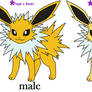 The difference between male and female Jolteon