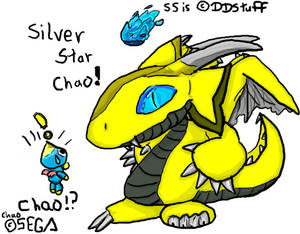 Silver Star Chao