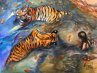 Tigers in water