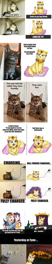 Emperor Cat memes