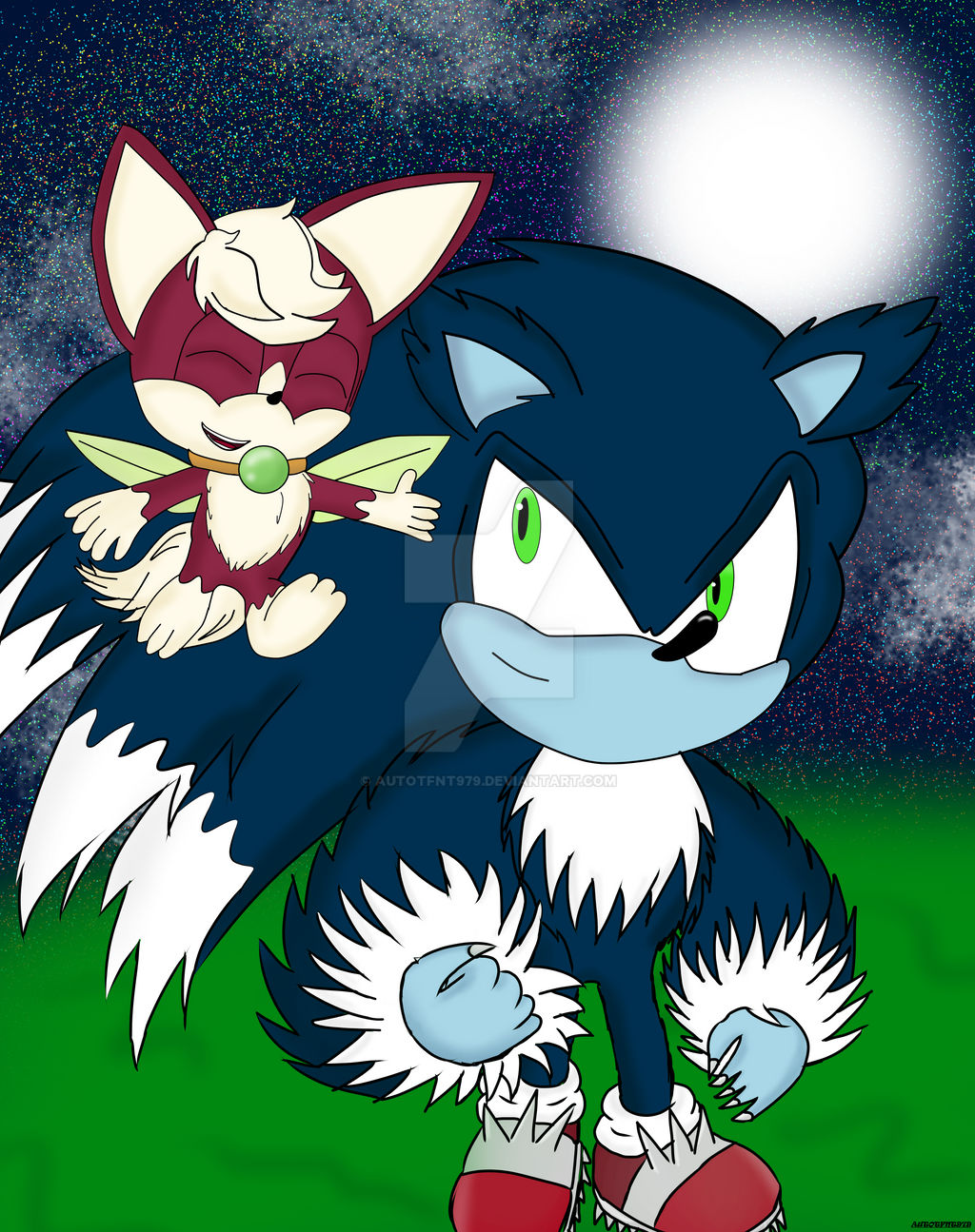 Sonic and Chip