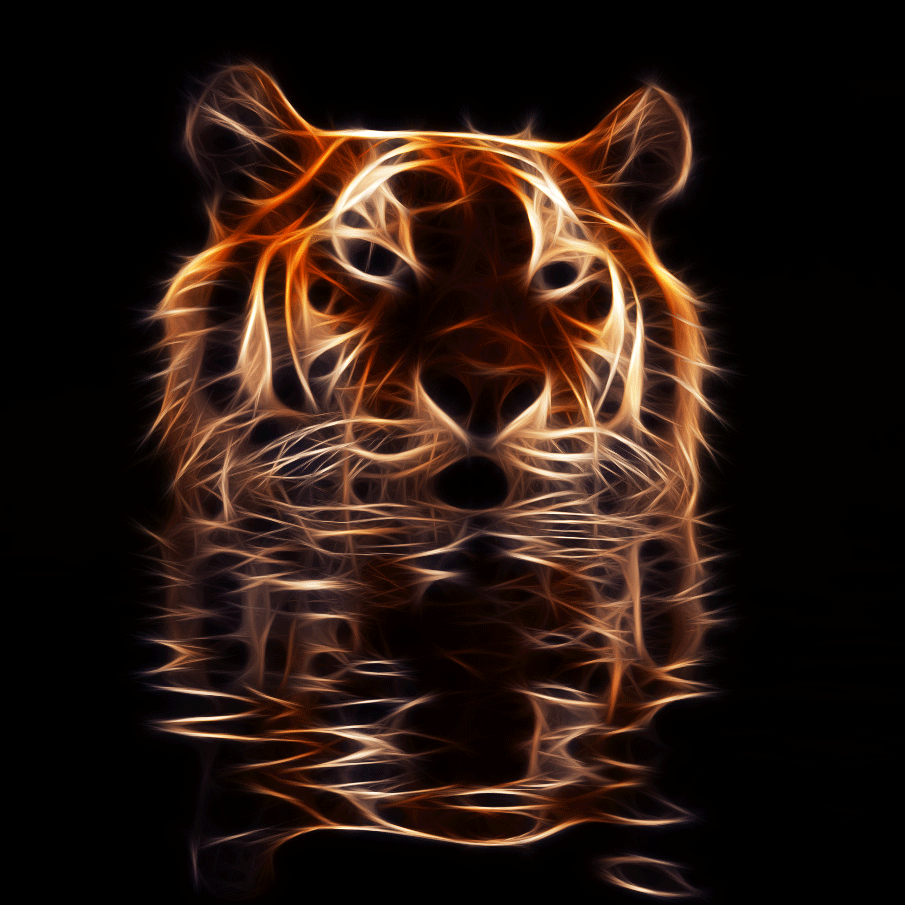 Tiger reflection