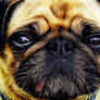 Fractalius Pug