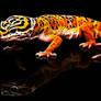 Fractalius Leopard Gecko