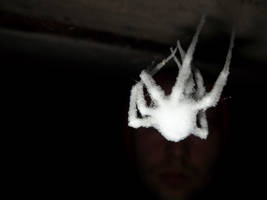 Snow Spider