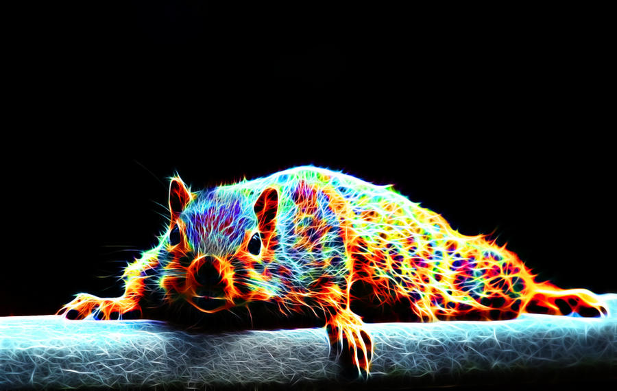 Fragmented Squirrel Fractalius squirrel by megaossa on DeviantArt